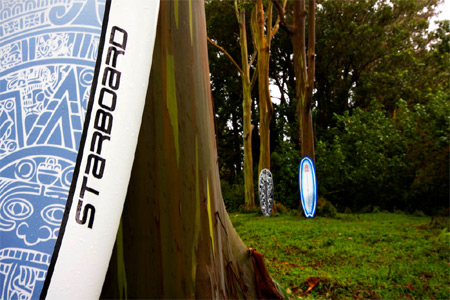 Starboard SUP 2010