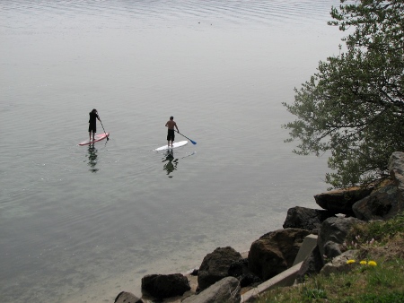 stand up paddle fly race